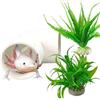Generico Grotta Axolotl | Habitat Decorativo,Set da 3 Tane Giocattolo per Axolotl da Acquario,per Betta, Pesce Gatto, Granchio, Gamberetti Nani, Crogiolarsi, Riproduzione, Riposo