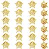 SUPERFINDINGS 24Pcs Spilla A Stella In Lega Spilla con Frizione Spilla Pentagramma In Oro Chiaro Spille Set Minuscolo 15mm Distintivo Geometrico Creativo Fermacravatta