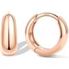 Bestyle Orecchini Cerchio Argento 925 Donna Oro/Argento Anallergici Chunky | Piccoli Orecchini Cerchio Oro Placcato 14K alla Moda Leggeri, Larghezza 8/10/12/14/16/18/20 mm, Regalo per Ragazze Mamma