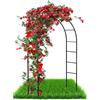talifoca Arco per piante rampicanti e rosa, arco in metallo, per porta del giardino, traliccio in acciaio verniciato a polvere, resistente alle intemperie, 240 x 140 x 38 cm