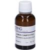 HERING Ulmus Campestris Gemme Macerato Glicerico 4x30 ml