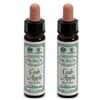 Ainsworths Crab Apple 10Ml 2x10 ml Gocce orali