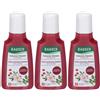 Rausch Shampoo Colorprotettivo alla Rosa Selvatica 3x40 ml