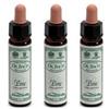 Ainsworths Pine 10Ml 3x10 ml Gocce orali