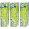 Chicco Set Primi Dentini 3-6 Anni Colore Verde e Azzurro 3x50 ml