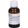 HERING Tamarix Gallica Germoglimog Macerato Glicerico 4x30 ml