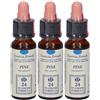 Erba Vita Pine Original Gocce 10 ml 3x10