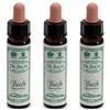 Ainsworths Beech 10Ml 3x10 ml Gocce orali