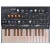 Arturia - Sintetizzatore a tastiera MicroFreak - Sintetizzatore ibrido con tastiera a 25 tasti su circuito stampato, oscillatori digitali e wavetable, filtri analogici