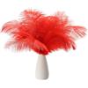 PATIKIL 8-10 Pollici(20-25cm) Piume di Struzzo, 30pz Piume Struzzo Artificiali Naturali Rinfusa per Decorazioni Centrotavola Feste Matrimonio Artigianato Rosso (5 Larghezza)