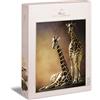 Ulmer Puzzleschmiede - Puzzle Amore di giraffa - Motivo puzzle di una coppia di giraffe - un motivo animale moderno