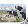 qDkPwMnRfVbHj Cane da Pastore Puzzle 1000 Pezzi Puzzle per Adulti Alpeggio di Pecore Montagna in Carta Gioco di Puzzle 1000 Pezzi Relax Famiglia Arredo Regalo 52x38cm/1000pcs