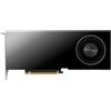 PNY RTX PRO 6000 Blackwell Max-Q Workstation Edition (96 GB, GDDR7), Scheda grafica, Oro, Nero