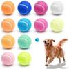 Taurion 12 palline da tennis multicolori per il tempo libero: 12 diversi colori mini palline da tennis, set di palline da tennis molto piccole, palline da tennis per cani per allenamento, giochi