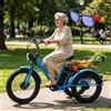 Generic Triciclo elettrico, triciclo cargo per adulti da 24 pollici con cestino, per anziani, schermo LCD, telaio in acciaio al carbonio, pneumatici larghi, capacità di carico 200 kg, blu