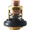 CloudburstVoltix Termostato e guarnizione 378065 484841 734841 5005440 60C 143F per Sierra