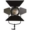 Ikan WS-F100 White Star - Lampada Fresnel, 100 W, 10 cm