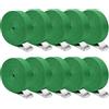NIERBO Cinghie di Tensione con Cricchetto 10 Pezzi, Cinghie di Fissaggio Regolabili 2,5cm x 2,5m Cinghia di Ancoraggio per Portabici Moto Portapacchi Auto (Verde)