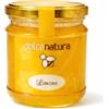 Generico Miele al Limone 250 g - Miele Italiano Originale 100% Naturale con 10% Composto di Frutta al Limone, Miele per Colazione e Dessert, Vasetto Made in Italy (Dolce Natura)