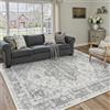 PureCozy Vintage Tappeto Salotto 140x200cm Grigio Antiscivolo Lavabili in Lavatrice Tappeti Soggiorno Camera da Letto Ufficio Cucina Carpet Morbido Pelo Corto Rug