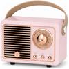 MONTY SOUL Mini Cassa Bluetooth Retrò 5W, Altoparlante Portatile HiFi 360°, Radio FM, Microfono Integrato, Supporto Scheda TF, USB e AUX, Batteria Ricaricabile 400 mAh (HM11) (Rosa)