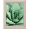 goldbuch 92 0753 Toscana - Cornice portafoto in Legno, Formato 13 x 18 cm, con Supporto e Supporto da Parete, Cornice Singola in MDF, Colore: Tortora