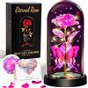 HAOCEE Regalo Donna, Rosa Eterna Con Farfalle＆Led, Rosa Galassia(Rosa)