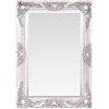 Select Mirrors Specchi da parete Specchio da parete Haywood - Vintage francese, stile barocco rococò - Home decor chic, argento antico, 50 x 70 cm