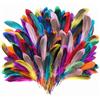 Daleweo 150 Pezzi Piume Colorate per Lavoretti, 14-18cm Miste Piume Naturali per Decorazioni, per Fai da Te, Acchiappasogni, Maschere, Orecchini, Costumi E Matrimonio Feste Casa (B)