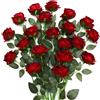 JUSTOYOU 20 rose bordeaux fiori artificiali, rosa in seta con gambo, bouquet di rose artificiali, fiori realistici per la casa, l'ufficio, feste, matrimoni, giardini, composizioni (rose da vino rosso)