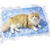 Generic Tappetino refrigerante per gatti, antiscivolo, lavabile | Cuscino estivo per cani di taglia piccola, media e grande, per interni ed esterni, per casa, viaggi, auto