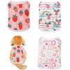 FFWTPY Maglietta per Cani 3 Pezzi Vestiti Estivi Traspiranti con Stampa Frutta e Gelato Abbigliamento Divertente per Cuccioli e Cani di Piccola Taglia (XL)