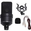 Risegun Microfono a condensatore studio professionale 26 mm diaframma largo XLR microfono di registrazione con supporto antiurto cavo antivento per podcasting canto streaming gi (Nera)