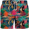 ZEYBRA Uomo Zeybra Boxer Mare Pesci Tropicali