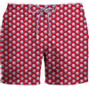 ZEYBRA Uomo Zeybra Boxer Mare Fantasia Furgoncini