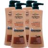 FEI FAN Shampoo RIPARAZIONE & BELLEZZA Con Kerplex, Ultra Ristrutturante. Per Capelli Fragili e Danneggiati. 5 Azioni: Rigenera, Fortifica, Illumina, Nutre e Tocco Vellutato 400ml (4 Flaconi)