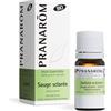 Pranarom Pranarôm Bio Olio Essenziale Salvia sclarea (Salvia sclarea) 5 ml