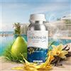 Alma Olio Essenziale W Hotel - Ricarica per diffusore - pera e muschio · 500 ml - Ambiente aromatico profumato - pera, erba, mughetto e tè verde - Ricarica liquida 500 ml