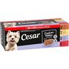 Cesar Buste Monoporzione in Gelatina Senior 8+ - 40 x 100 g
