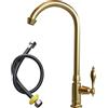 LANMOU Rubinetto Lavello Cucina Solo Acqua Fredda, Rubinetto Cucina da esterno in acciaio inox, Tubo Flessibile 60 cm, Girevole a 360°, per Interno/Esterno, Camper, oro spazzolato