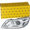 HELLA 1ZL 247 052-311 Xeno-Faro principale per veicolo circolazione Dx, anteriore Sx