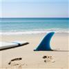 Pinna da surf in fibra di vetro Pinna di coda singola per longboard Accessori
