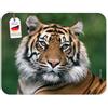 Edition Colibri TIGRE Tappetino per mouse (24 x 19 cm), molto resistente allo strappo, con una forte base adesiva per una presa ottimale - compatibile con tutti i tipi di mouse