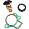 CloudburstVoltix Thermostat 60°C 66M-12411-00-00 66M-12411-01-00 6G8-12411 With 4-Stroke