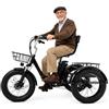 Generic Triciclo elettrico pieghevole per adulti, pneumatici larghi da 20, cestino anteriore e posteriore, display LCD, portata massima 200 kg.