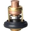 CloudburstVoltix Termostato 19300-881-761 50°C (125°F) Compatibile con motori fuoribordo a
