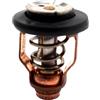 CloudburstVoltix Termostato 60°C 6CE-12411-00 Compatibile con F225F F250D F300B FX-HO FX140