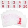 iplusmile 10 Pezzi Pettorali Numerati per Corsa Leggeri con Sistema di Aggancio Rapido, Riutilizzabili per Runner in Gare di Resistenza e Competizioni Atletiche
