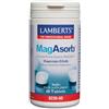 Lamberts Plus 60 Comp Magasorb by Lamberts