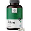 HealthyWorld Saw Palmetto - Serenoa repens con integratore di zinco - Estratto 20:1-180 capsule vegetali - Supporto alla prostata - Confezione XXL - 6 mesi
